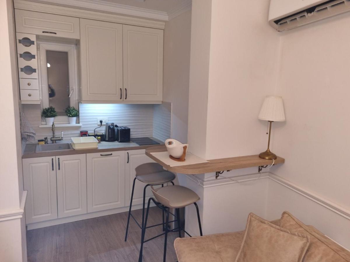 Nusic Apartment Belgrade